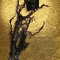 Vulture with Textured Sun